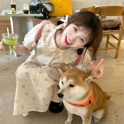 王的命令 第二季